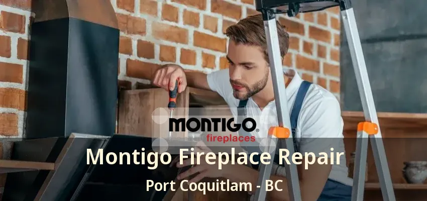 Montigo Fireplace Repair Port Coquitlam - BC Montigo Fireplace Repair Port Coquitlam - BC