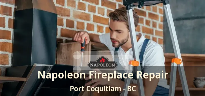 Napoleon Fireplace Repair Port Coquitlam - BC Napoleon Fireplace Repair Port Coquitlam - BC